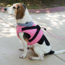 (주)디자인로움 이미지