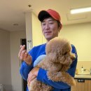 논현 켄넬 | 강아지 훈련사 만나본 소감 풀어볼게요
