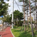 신진리사거리 이미지