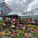 에버그린화원