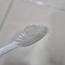 메딕스 | 시린이 관리 후기 네오메딕스 덴티포뮬러