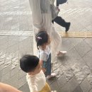 11500-14-25-18 | 동대문DDR 아기상어 25개월아기랑 후기,주차