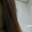 아르스헤어
