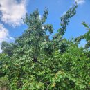 대승농장 이미지