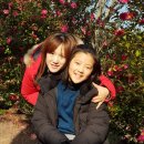 안덕농협주유소 | 코쿤 텐트트레일러 CC4와 함께 제주도 가족여행_3일차