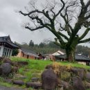 와룡마을 이미지