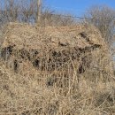 용성3리마을회관 이미지