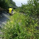 비당농장 이미지