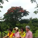 유구중학교 이미지