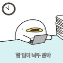 (독서캠프)북을 울려라 두둥 | (2) 사회복지사였는데요,,, 교사가 되었습니다(?) | #커리어회고 #이직