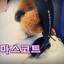 굿모닝보청기(서대전점) 이미지