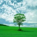 아이-정원 이미지