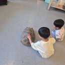 주식회사 삼막커피2 | [안양 아이와 가볼만한곳] 입장료 없는 파충류 이색체험, 삼막창고카페 주차 및 오픈런 팁