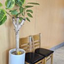 진위중학교 | 평택 진위. 대형 주차장이 있는 고급룸식당! 맛까지 잡은 [소채원] 내돈내산 솔직후기 +샘또간집