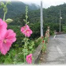 청도초등학교 이미지