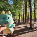 백현다리길 이미지