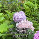 내리1길 이미지