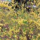 2025.3.27.목. 외구긴과영어동화멘토링 이미지