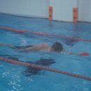 토이키즈 스윔클럽 이미지