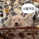 왜요 누나 MZ 처음 봐요?