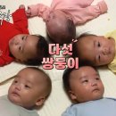 인간극장 [다섯 쌍둥이 천사들] 이미지