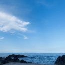 쎄시분식 이미지