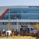 담양군 반려유기동물 공공진료소 | 유기동물만 진료하던 순천공공동물병원, 취약계층 반려동물 진료도 시작