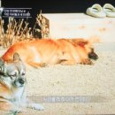 이오목장 이미지