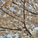 우리나현유치원 이미지