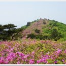 제암산등산로 이미지