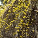 070.신천교_1 이미지