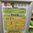 쥬니멀 전시장 이미지