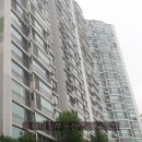 담쟁이 부동산 앞 이미지