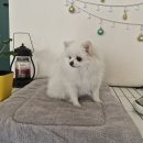 헬로그루밍 이미지