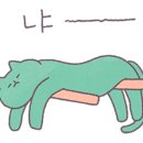형제투어 이미지