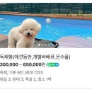 도화별장 네이버블로그