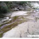 여민행정사사무소 이미지