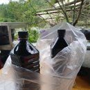 국간장 드립니다 ㅎ 이미지