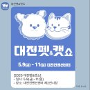 펫25 | 많이 늦은 2025 케이펫페어 대전 솔직 후기 + 25년 다녀온 펫페어 3곳 비교