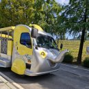 씨유서울대공원호랑이점 | 서울대공원 어린이동물원 33개월아기랑 방문후기