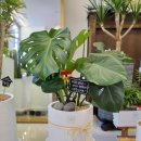 파리바게트 사직롯데점 이미지