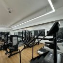 고포잇짐 이미지