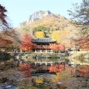 멍플 네이버블로그