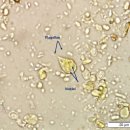 포천동물병원 이미지