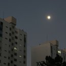 용산-현장-886 | 백수가 되