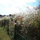 반여초등학교 이미지