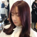 헤어살롱미올 이미지