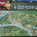 11월(193차) 정기산행 - 용궐산(645m, 전북 순창군) 이미지