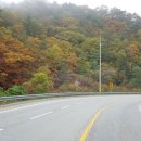 용화산로 이미지