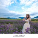 대저생태공원 이미지